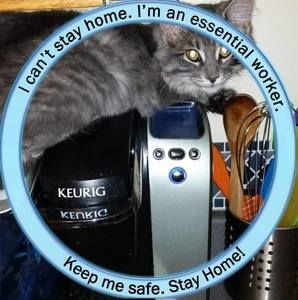 Meet your Posher, Carol